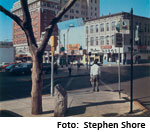Stephen Shore